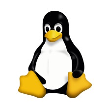 Linux / UNIX Fundamentals